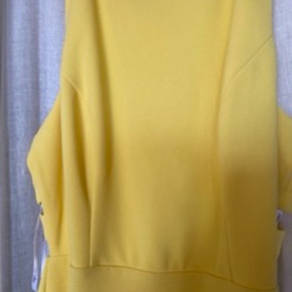 NWOT - Lulus Power of Wow Backless Yellow Maxi Dress - Picture 6 of 14